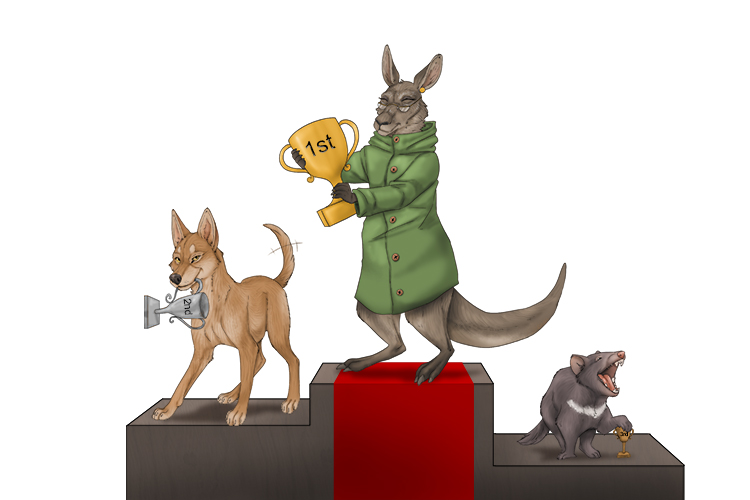 There was a kangaroo nana in an anorak (Guru Nanak) who was first in the race and stood on the podium with her trophy.